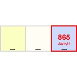 865 (daylight) / Lichtfarbe