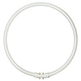 T5 RUNDRÖHRE / CIRCLINE 22W/840 (cool-white)