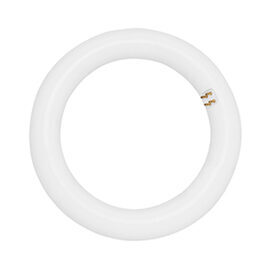 LED Circolina G10q